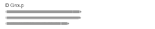 D Gruppe